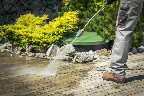 Best Animal Enclosure Cleaning  in Pelham Manor, NY